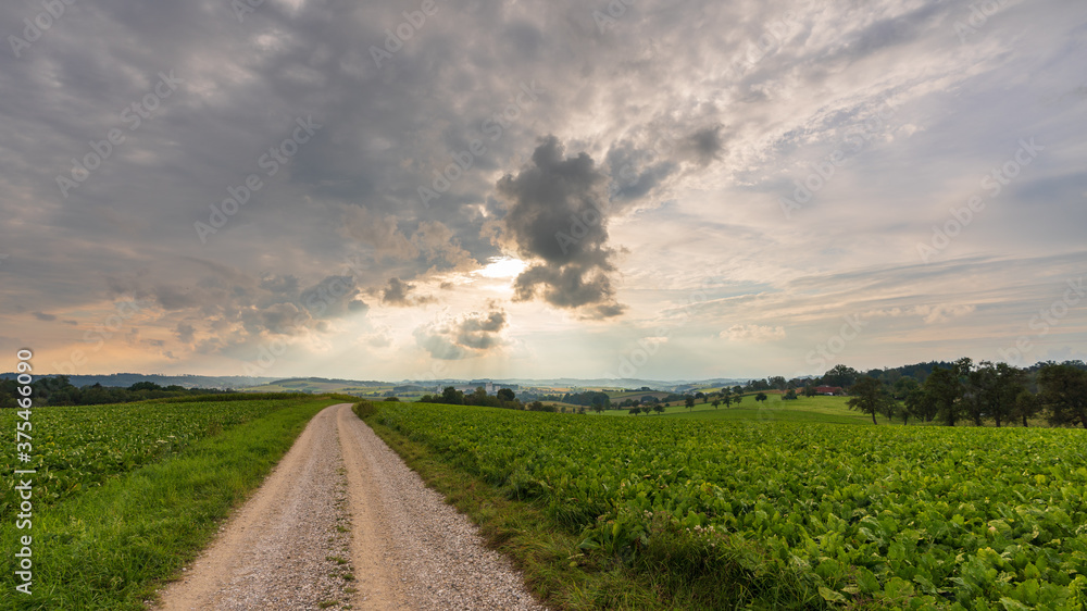 Obraz premium Wels Land mit Schotterweg und Ackerbau