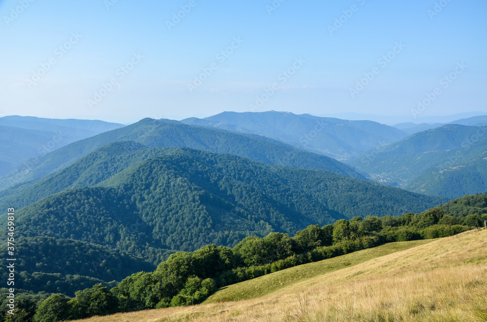 Fototapeta premium Grassy meadow, forest and Carpathian mountain ridge in the distance. Beautiful summer landscape 