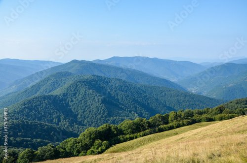 Grassy meadow  forest and Carpathian mountain ridge in the distance. Beautiful summer landscape   