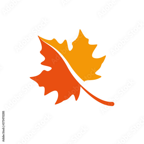 maple leave graphich design vector