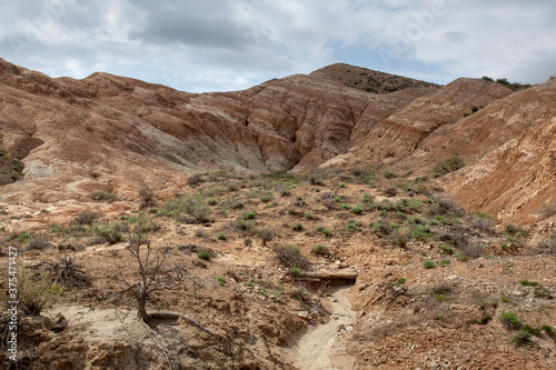 Clay-chalk hills of Kazakhstan with sparse vegetation.