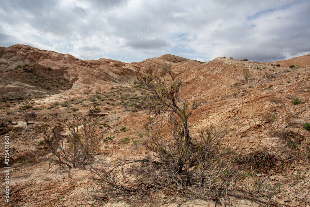 Clay-chalk hills of Kazakhstan with sparse vegetation. Clay-chalk hills of Kazakhstan with sparse vegetation.