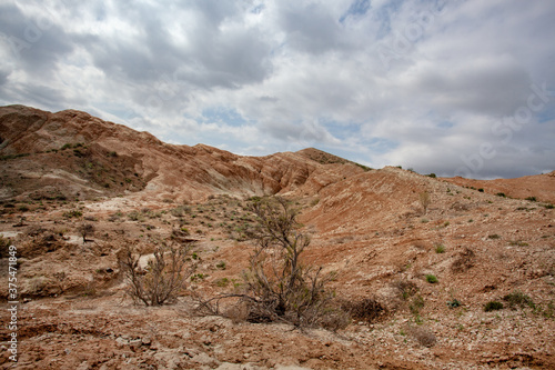 Clay-chalk hills of Kazakhstan with sparse vegetation.