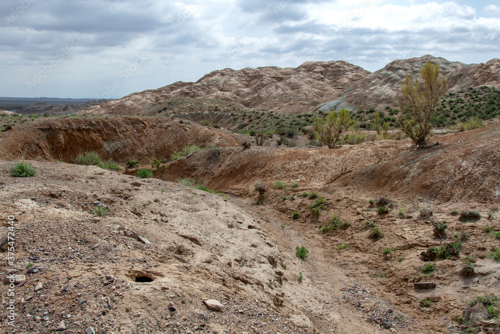 Clay-chalk hills of Kazakhstan with sparse vegetation. Clay-chalk hills of Kazakhstan with sparse vegetation.