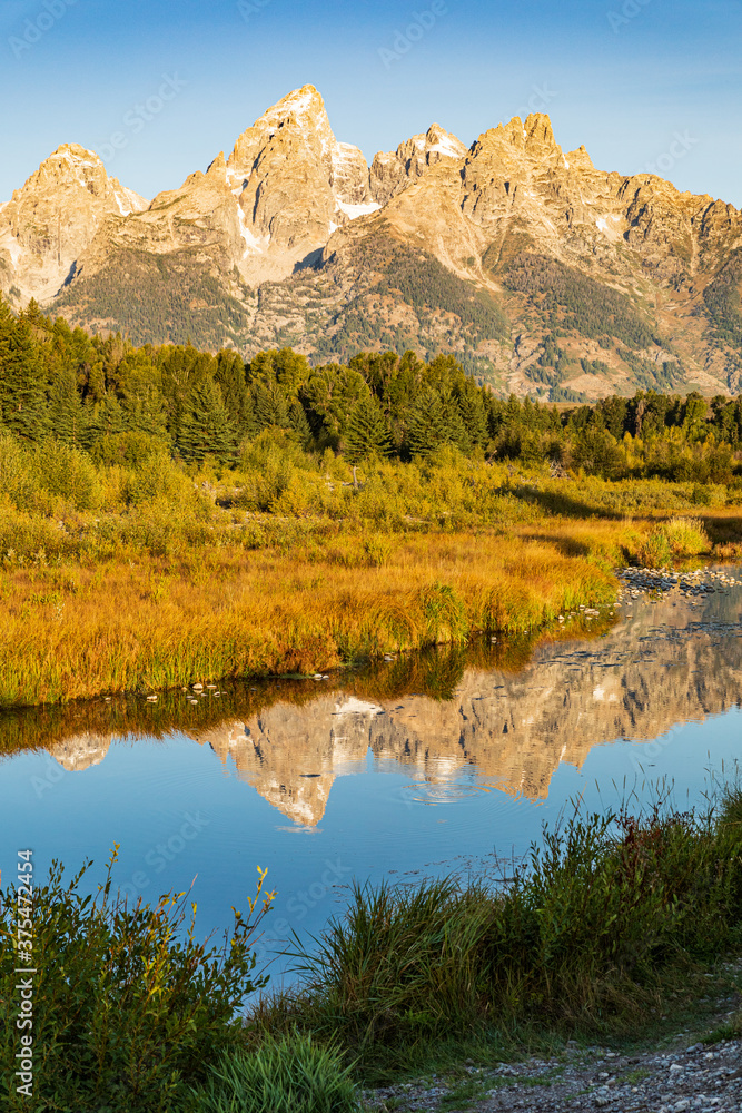 Vertical photo - Teton mountains reflect in water of the Snake River at Schwabacher Landing in Grand Teton National Park in Autumn