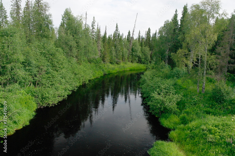 the North river flows through a green forest