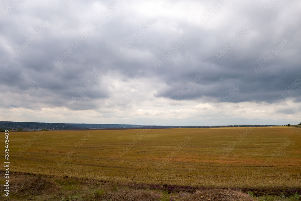 Fototapeta premium Thunderclouds over a wheat field. Beautiful landscape in cloudy weather.