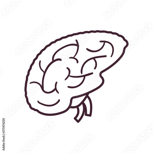 brain line style icon vector design