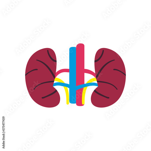 kidneys free form style icon vector design