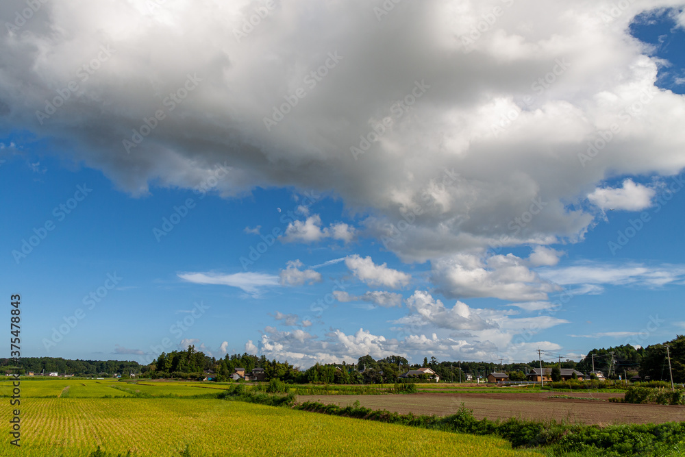 巨大な雲が浮く田舎の秋景色