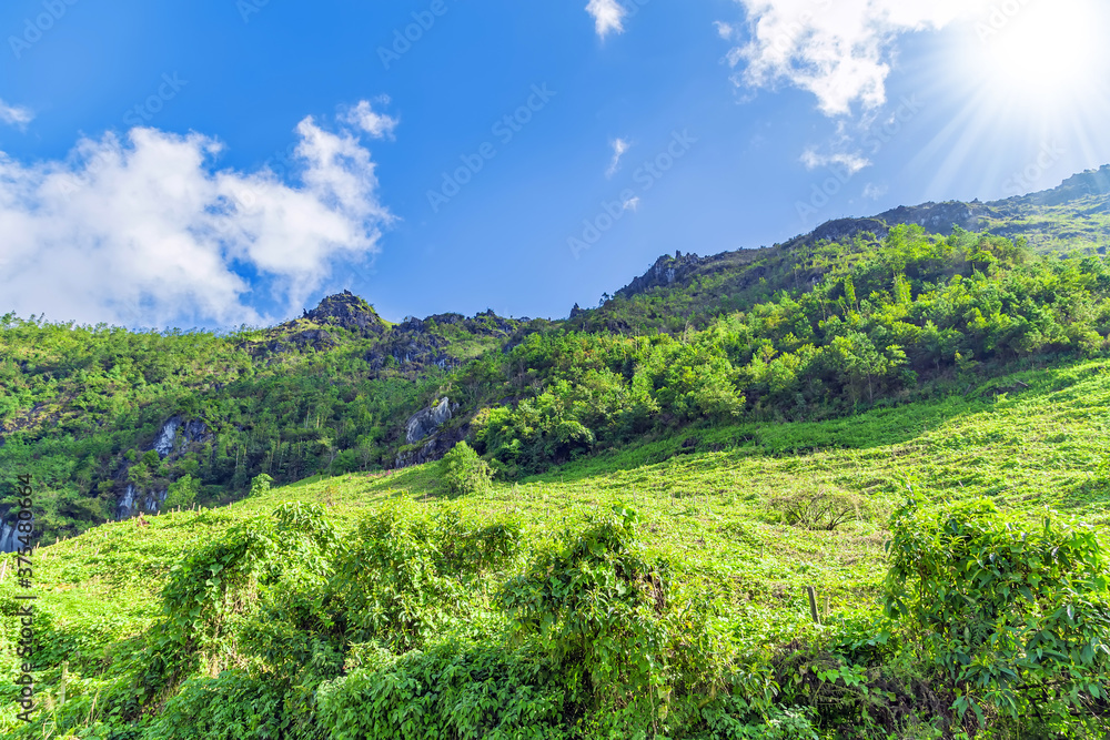 landscape terraces green grass blue sky cloud of Sapa Vietnam.