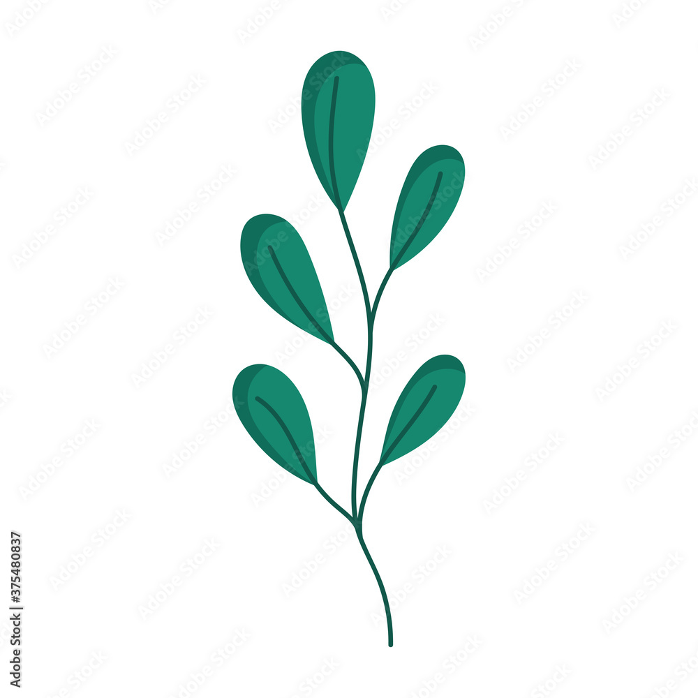 green branch leaves foliage isolated icon white background