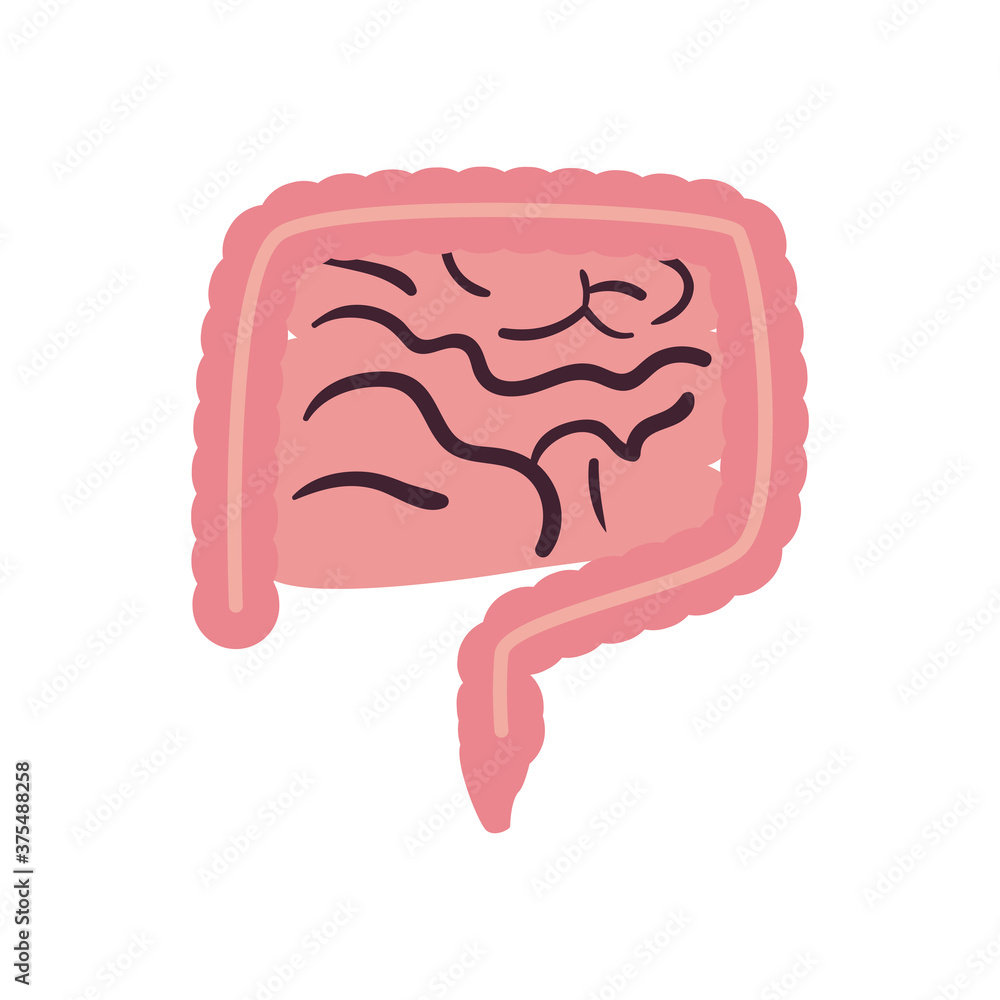 intestines free form style icon vector design intestines free form style icon vector design