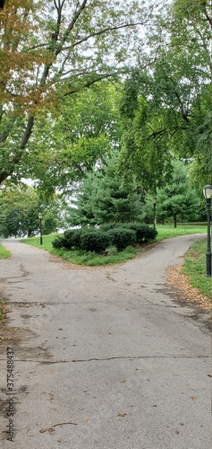 Fork in the road in the park © Anthony