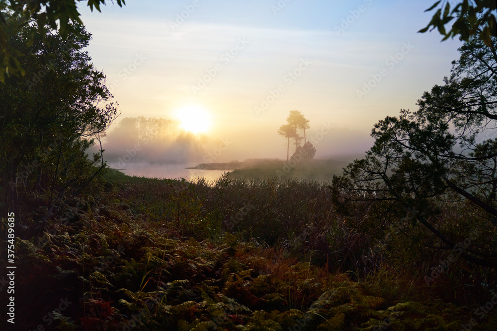 Serene sunset over water and trees in nature