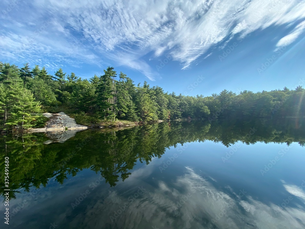 Reflection of Sky and Pine Forest in Georgian Bay Ontario Canada