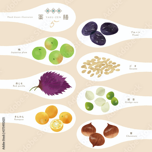 薬膳 / 漢方 / ほっこり食材イラスト-5