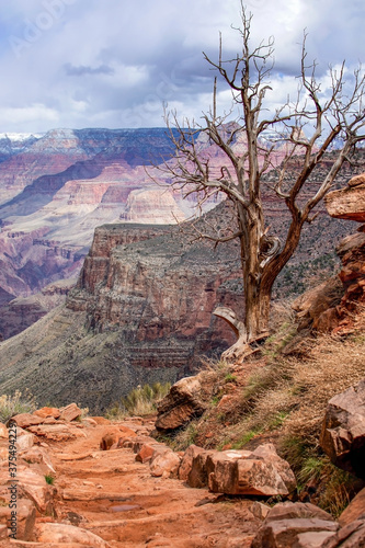 Looking into the Grand Canyon from Bright Angel Trail 