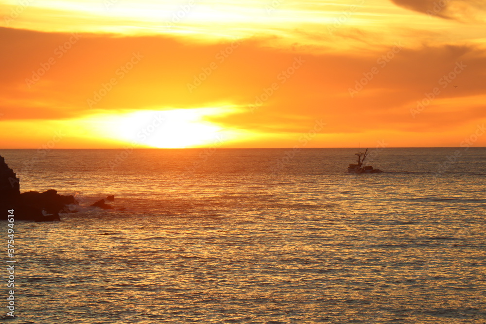 These photos are a part of series featuring Catalina Island in the Spring of 2020 These photos are a part of series featuring Catalina Island in the Spring of 2020