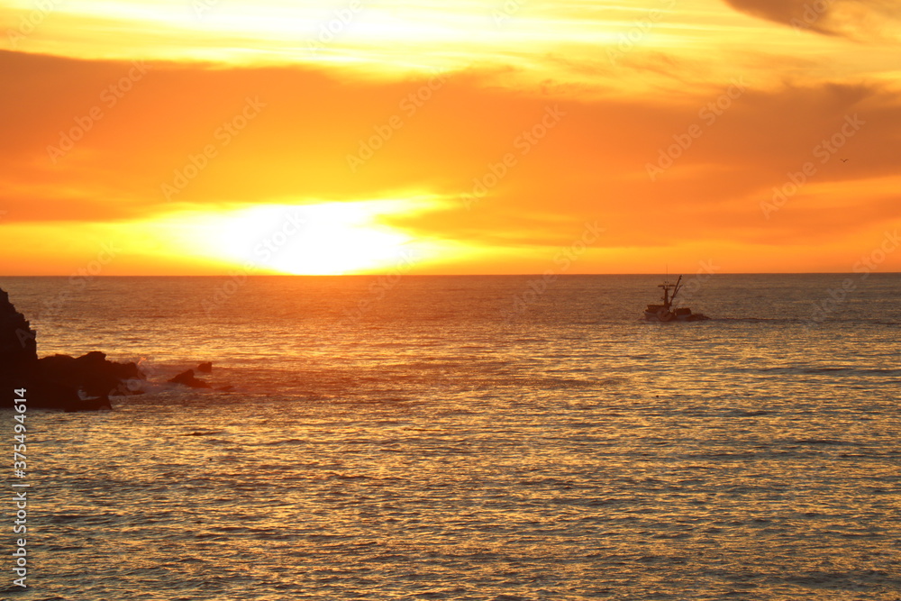 These photos are a part of series featuring Catalina Island in the Spring of 2020