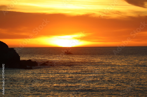 These photos are a part of series featuring Catalina Island in the Spring of 2020