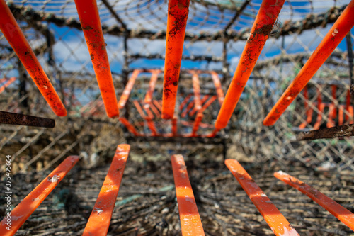 Crab traps orange gateway, dirty cages used to catch large numbers of crabs in Mudeford Quay UK, sea creatures exploitaition, crabs once entered have no way out, closeup of lobster pots inside 