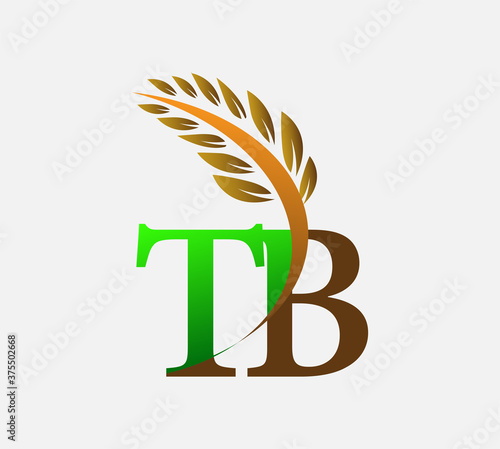 initial letter logo TB, Agriculture wheat Logo Template vector icon design colored green and brown.