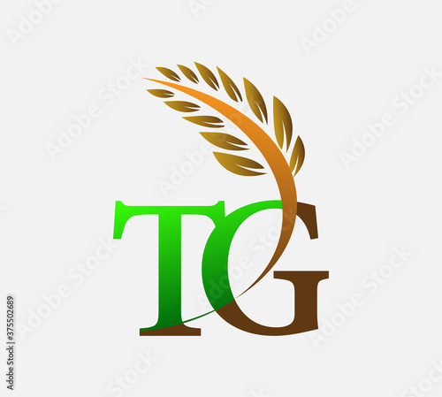 initial letter logo TG, Agriculture wheat Logo Template vector icon design colored green and brown.