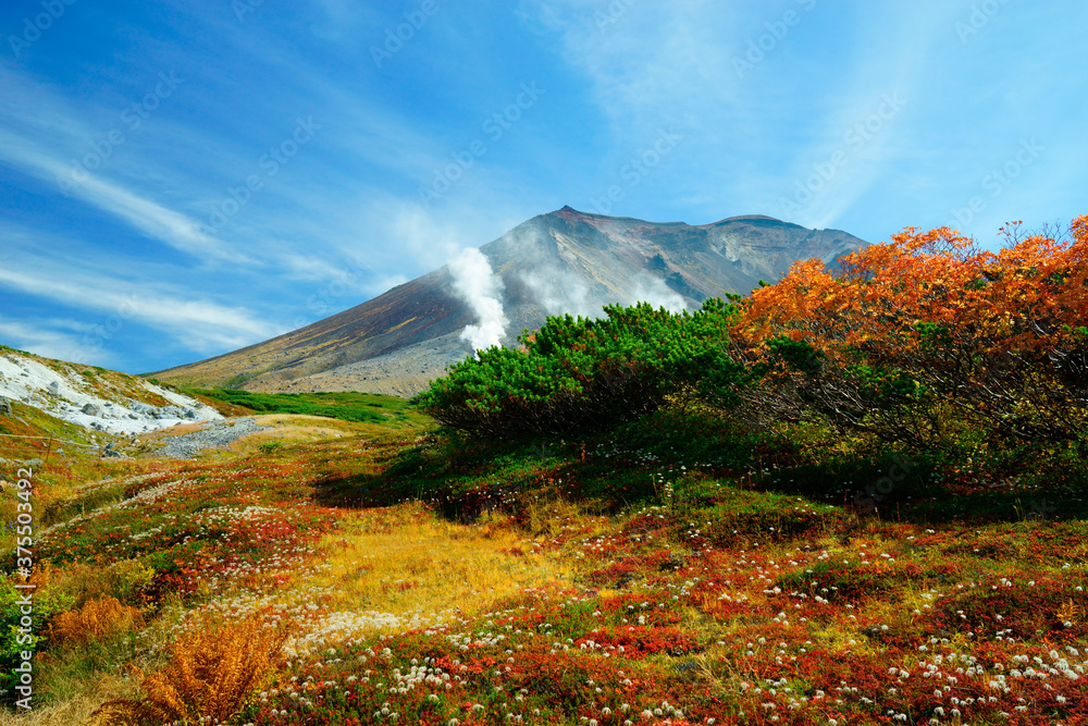 9月の大雪山国立公園旭岳の紅葉