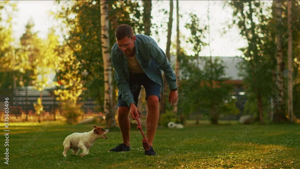 Man Plays with His Smooth Fox Terrier Dog Outdoors. He Pets and Teases His Puppy with His Favourite Toy. Idyllic Summer House. Golden Hour Down Time. Slow Motion Man Plays with His Smooth Fox Terrier Dog Outdoors. He Pets and Teases His Puppy with His Favourite Toy. Idyllic Summer House. Golden Hour Down Time. Slow Motion