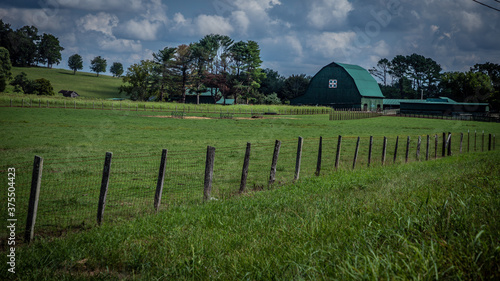 rural landscape with fence and green grass