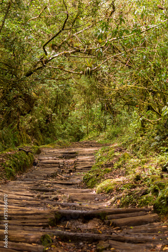Barva volcano trails  Barva National Park  Costa Rica