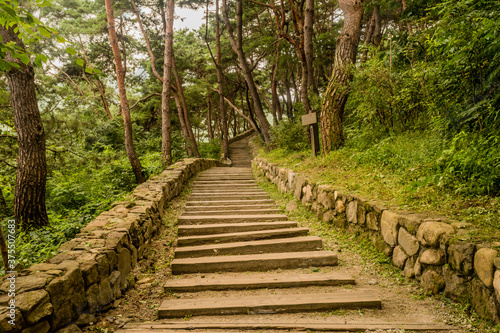 Wooden steps ascending up side mountain © aminkorea