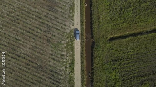 Aerial: Drone top down shot tracking a vehicle driving through field of sugar cane, near Babinda in Far North Queensland photo