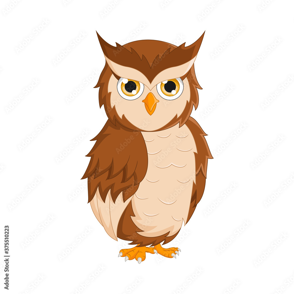 Fototapeta premium Cartoon cute owl isolated on white background