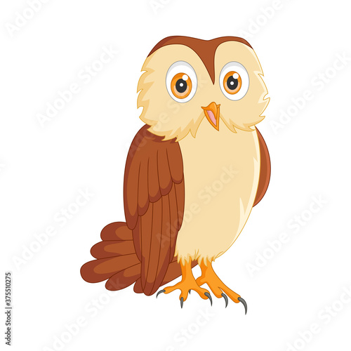 Cartoon cute owl isolated on white background
