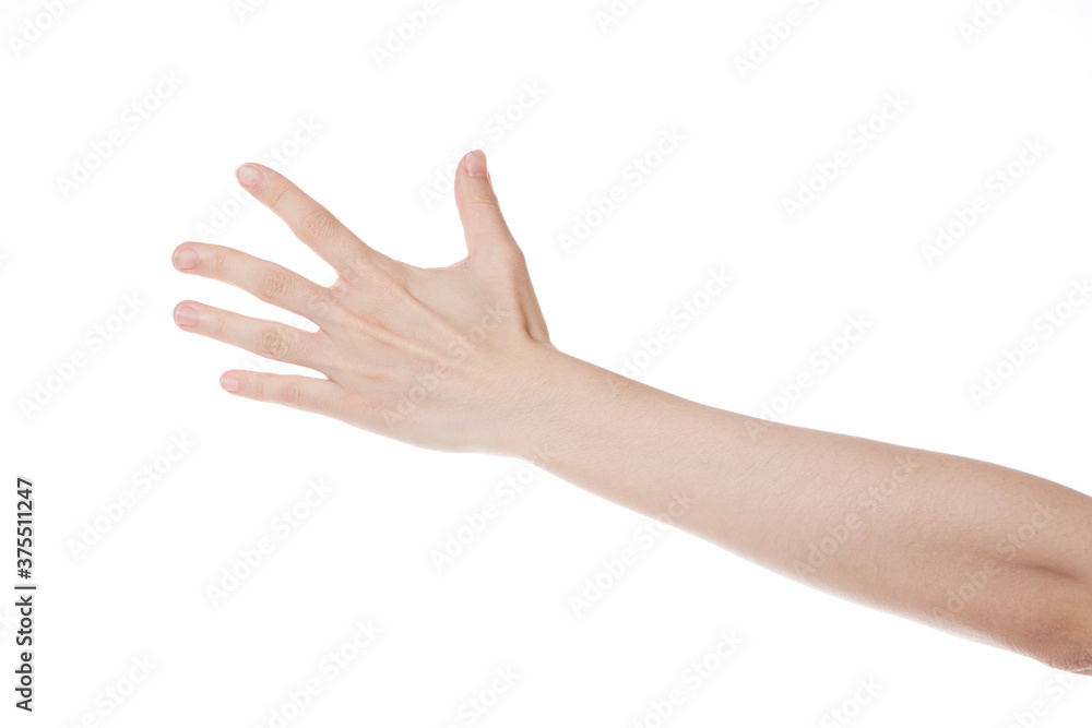 a woman's hand with her back showing her hand. a woman's hand with her back showing her hand.