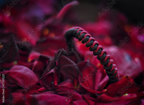 Braided paracord bracelet with brass beads on a background of scarlet rose petals