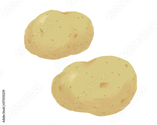 じゃがいも　potato　2個