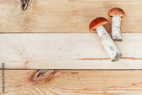 on a wooden Board lies two edible mushroom. the view from the top
