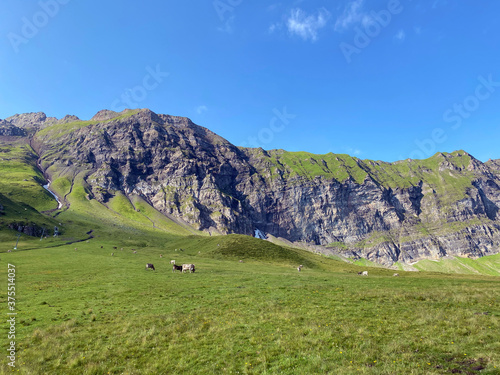 Alpine peaks Glogghüs (Glogghues or Glogghus) and Fulenberg above the Melchsee lake and in the Uri Alps mountain massif, Melchtal - Canton of Obwald, Switzerland / Kanton Obwalden, Schweiz photo