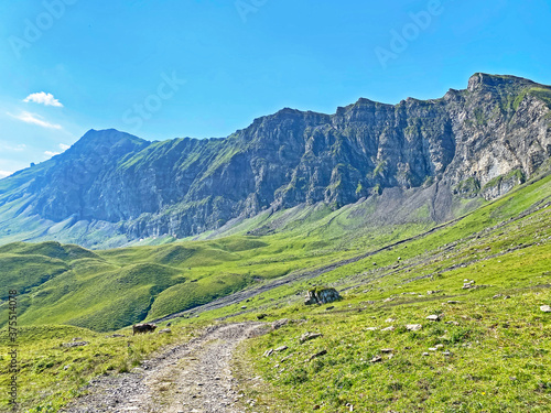 Alpine peaks Glogghüs (Glogghues or Glogghus) and Fulenberg above the Melchsee lake and in the Uri Alps mountain massif, Melchtal - Canton of Obwald, Switzerland / Kanton Obwalden, Schweiz photo