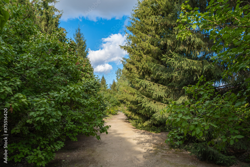 Landscape pictures of nature near the Park-estate of S. Rachmaninoff