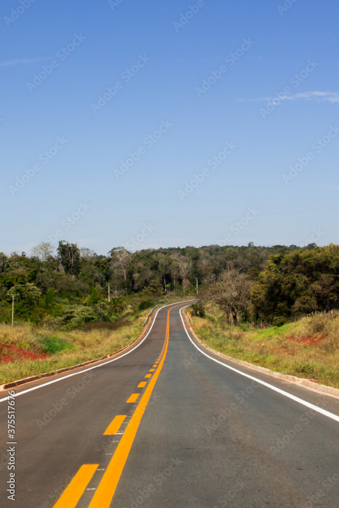 Road in the wetland