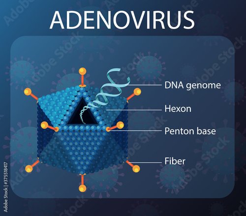 Adenovirus structure diagram on virus icon background