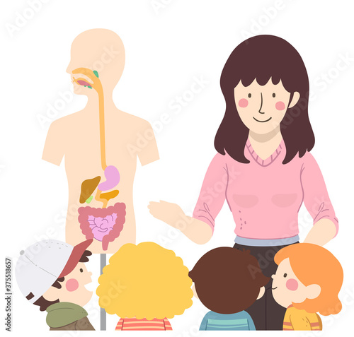 Kids Girl Teacher Digestive...