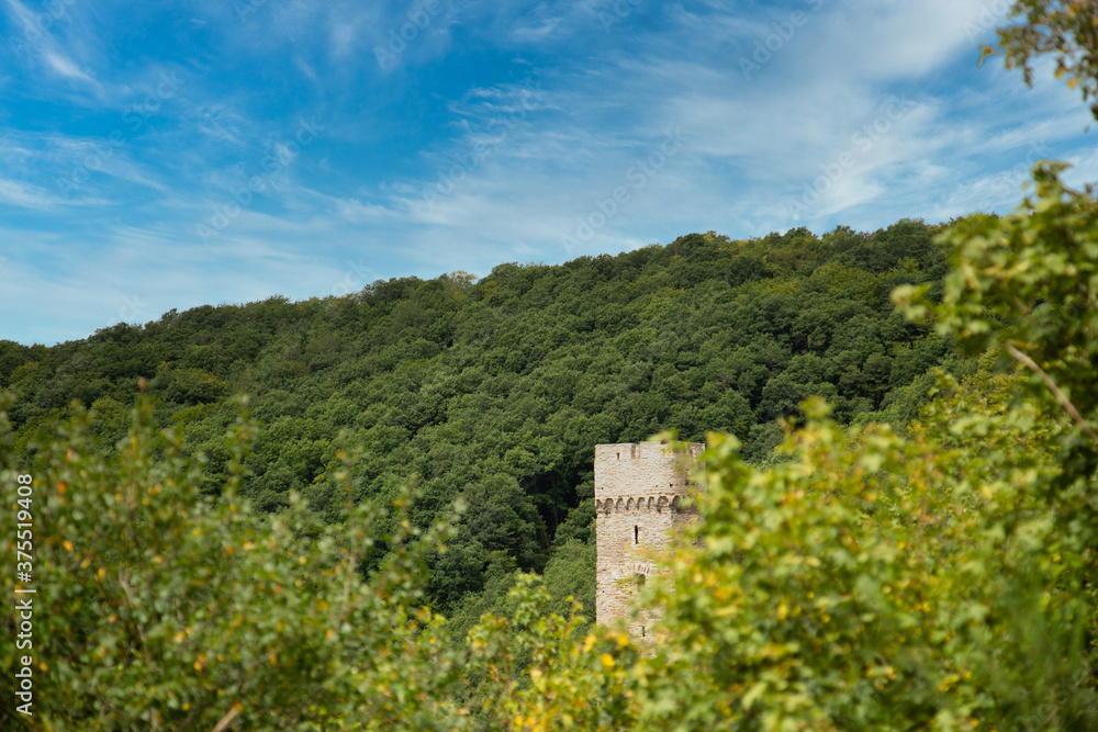 Ruin of the tower of an old medieval castle with a forest and a blue sky in background and blurry tree branches in foreground