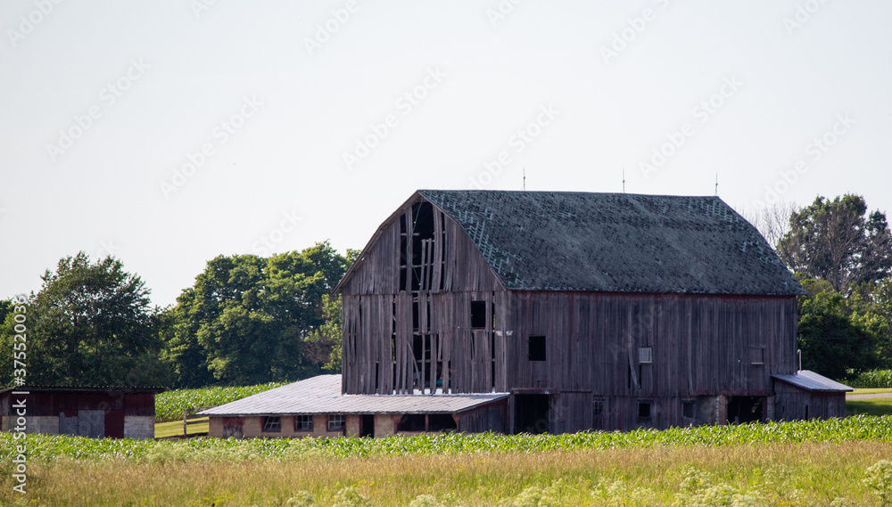 Obraz premium old barn in the field