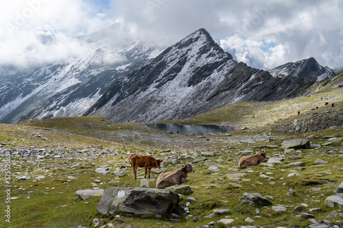 Bergwandern am grossen Sankt Bernhard Lacs de Tenetre