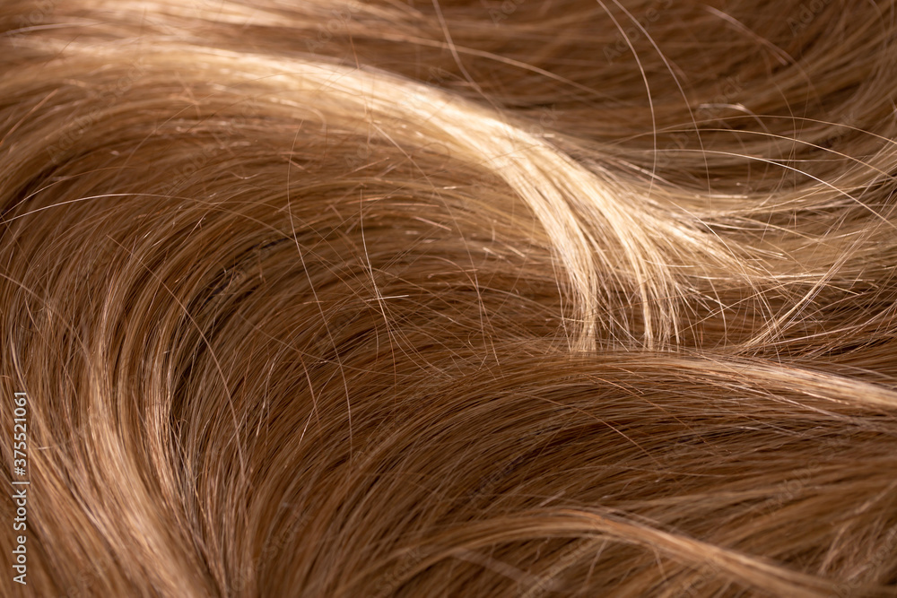 Naklejka premium Background hair light brown closeup. Female long blond hair close-up as a background. Beautifully laid wavy shiny curls.Hair coloring. Hairdressing procedures. Copy space with space for text.